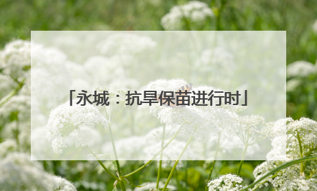 永城：抗旱保苗进行时